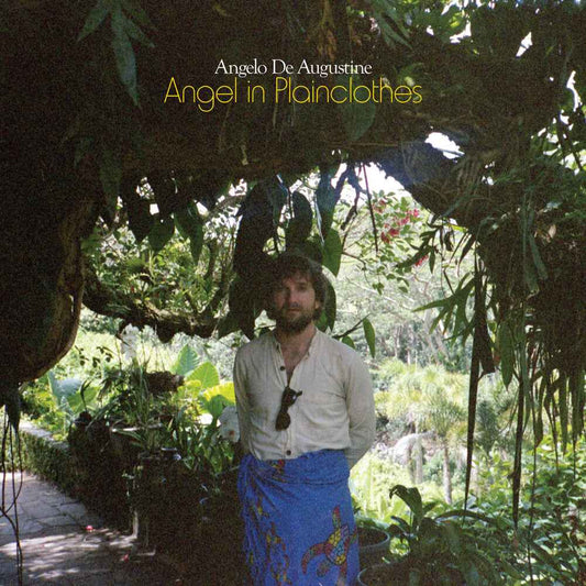 Angel In Plainclothes [LP]