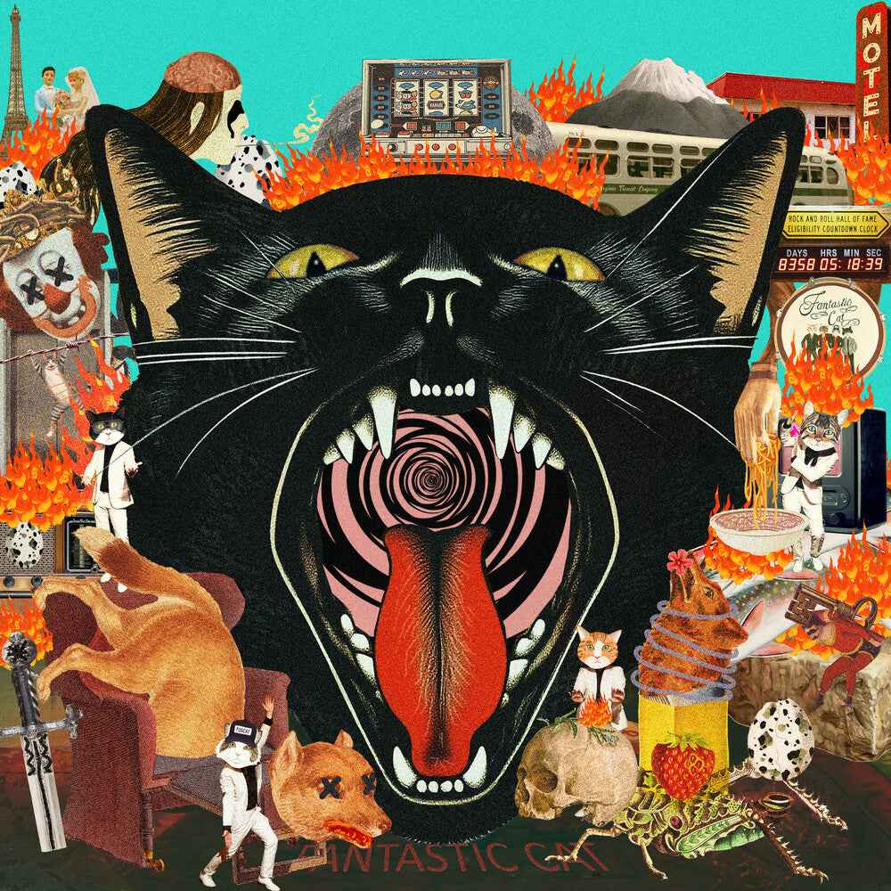 Cat Out of Hell [LP]
