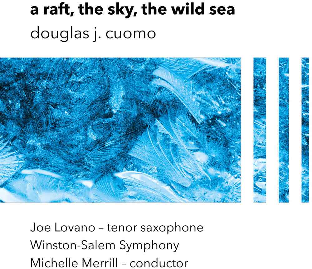 A Raft The Sky The Wild Sea [LP]