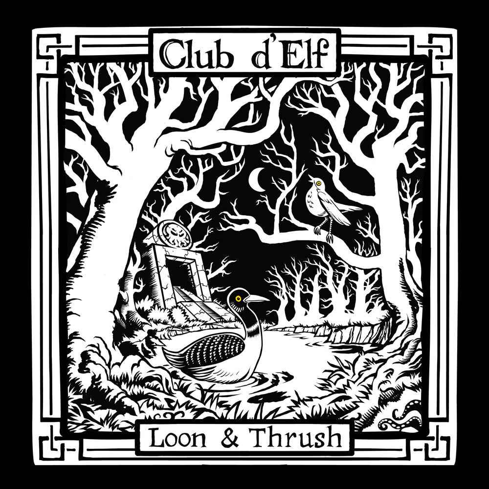 Loon & Thrush [LP]