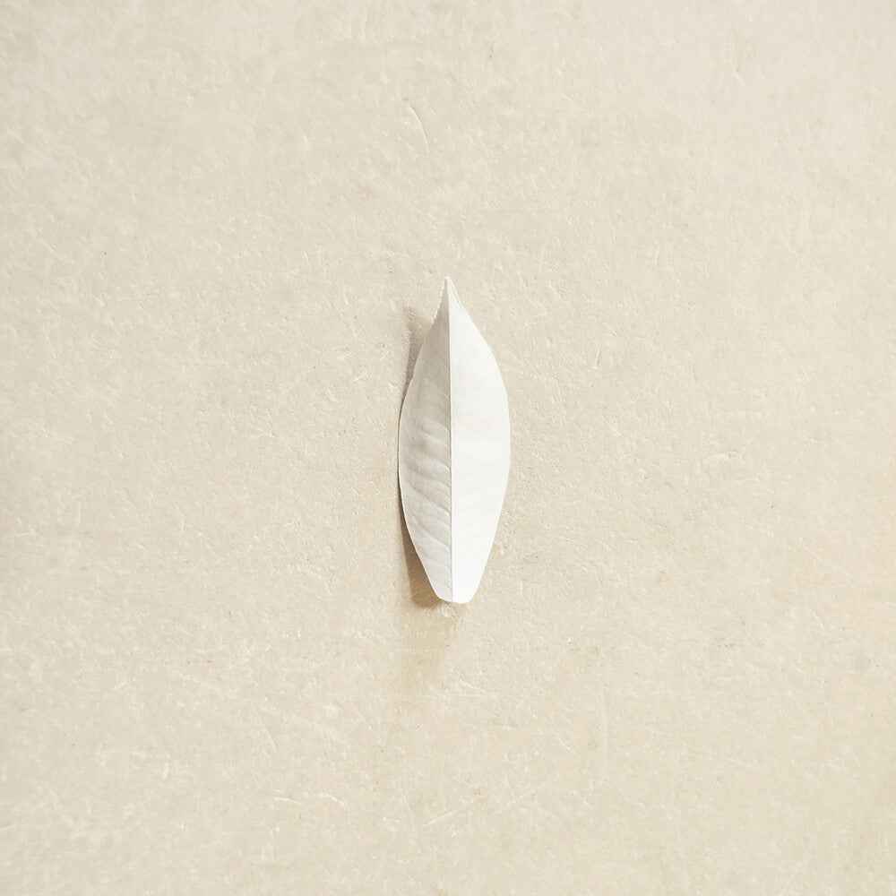 Complexity Of The Simple [LP]