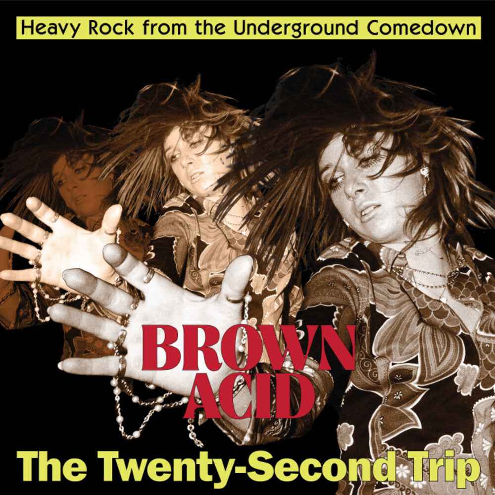 Brown Acid - The Twenty-Second Trip (Various Artists) [CD]