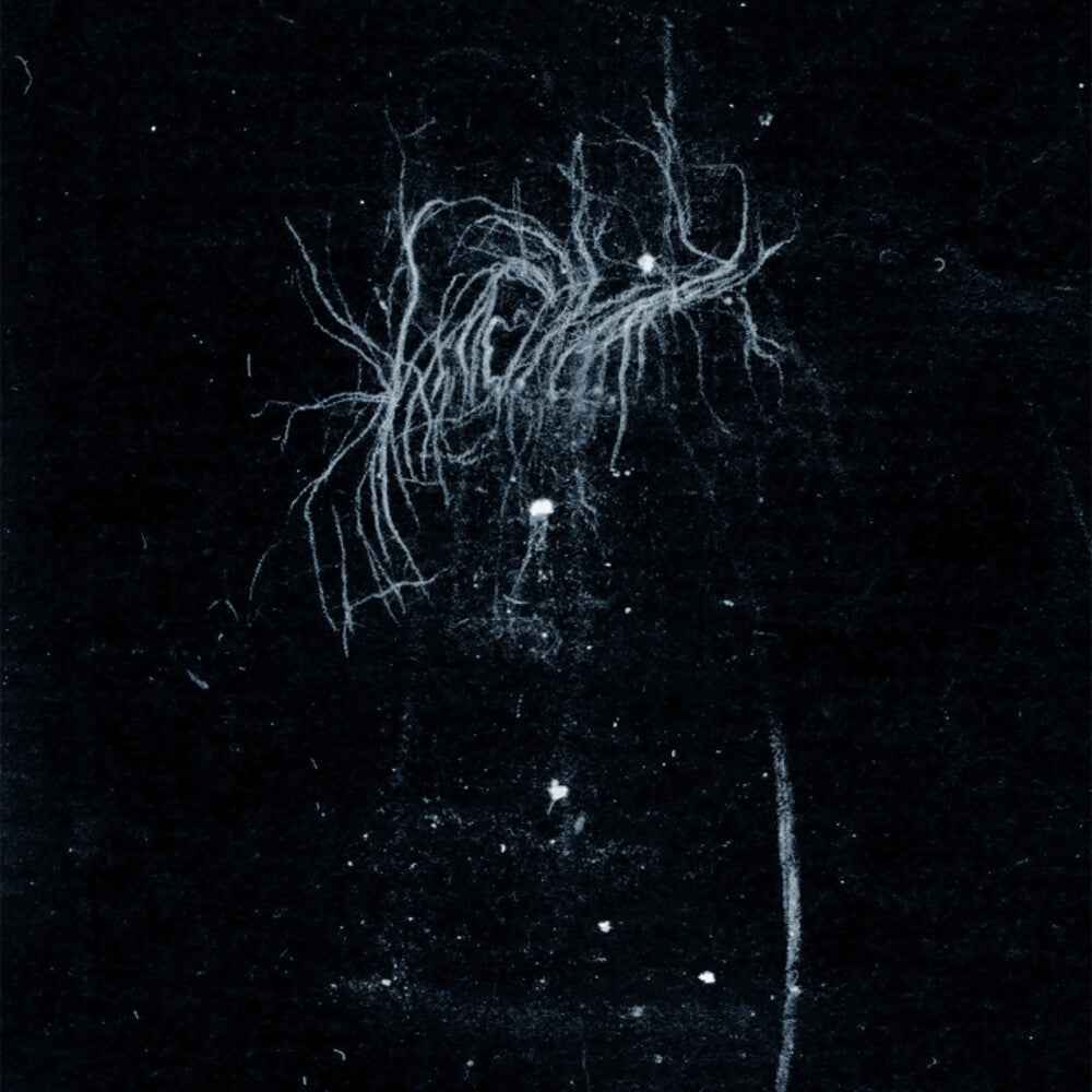 My Death Is More Beautiful Than Your Life [CD]