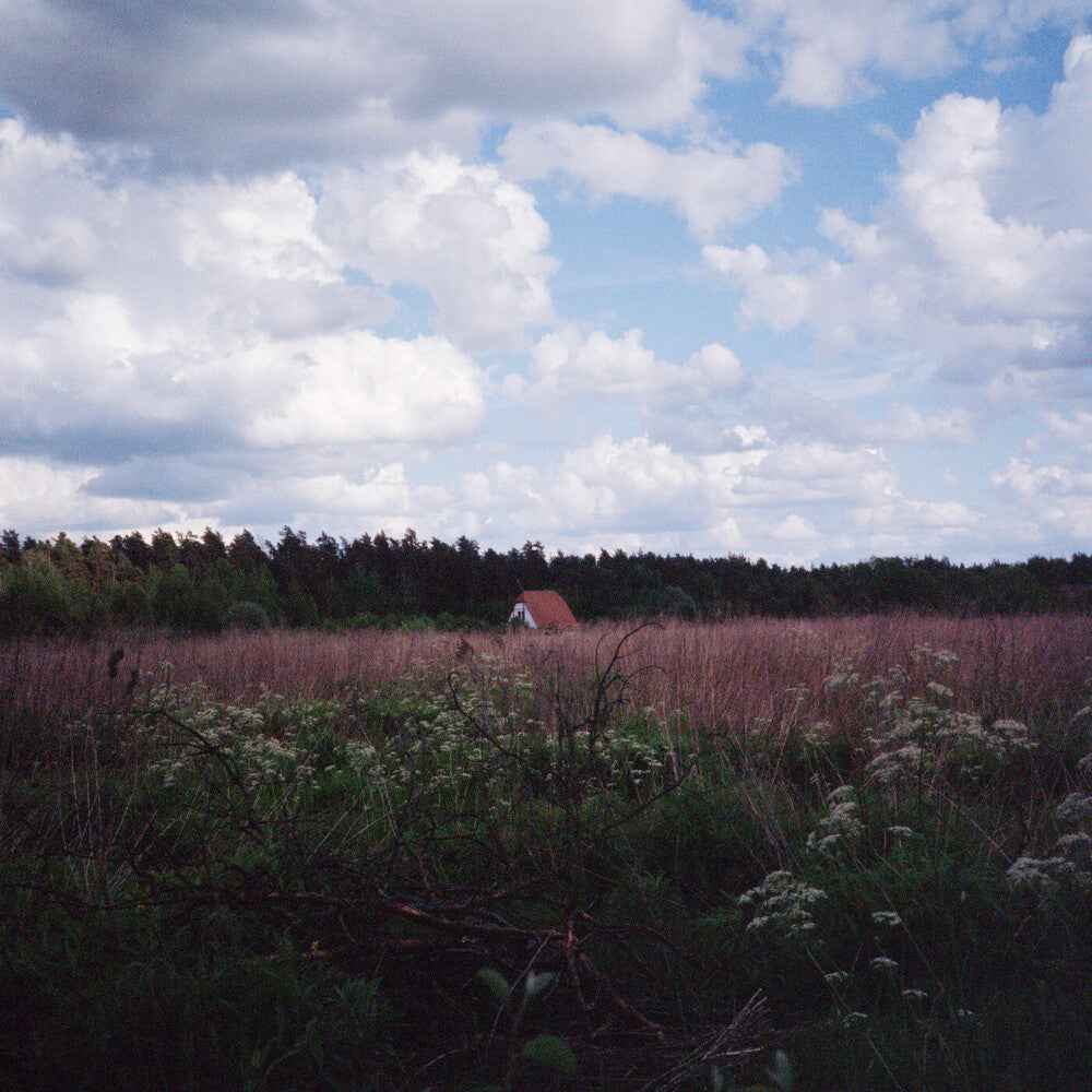 Sung [LP]
