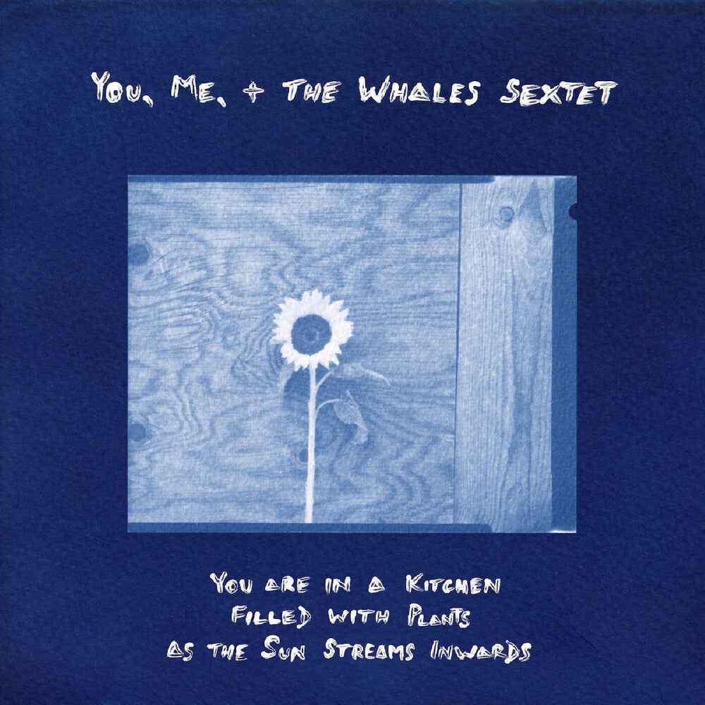 You Are In A Kitchen Filled With Plants As The Sun [LP]