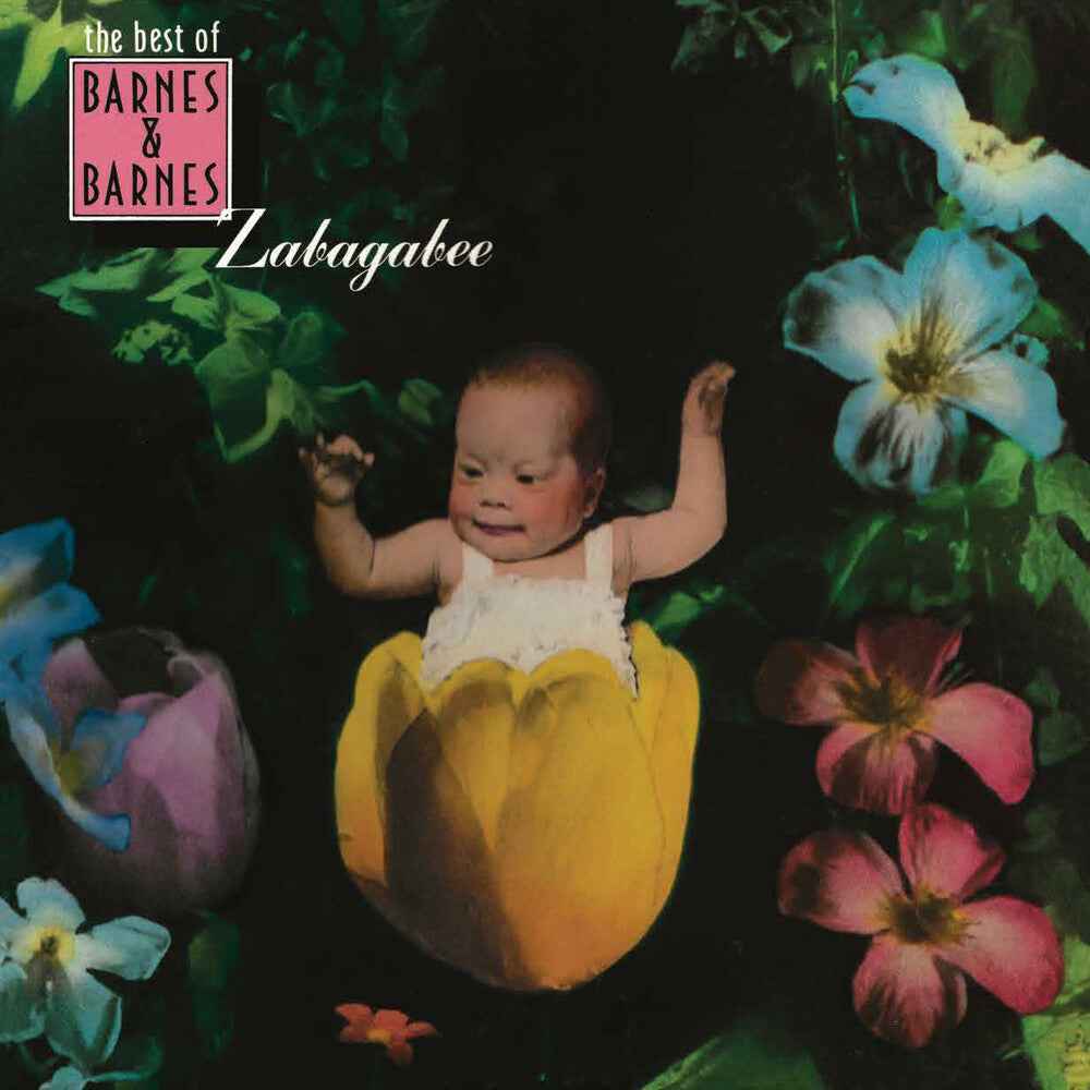 Pre-Order: Zabagabee: The Best Of Barnes & Barnes [LP]