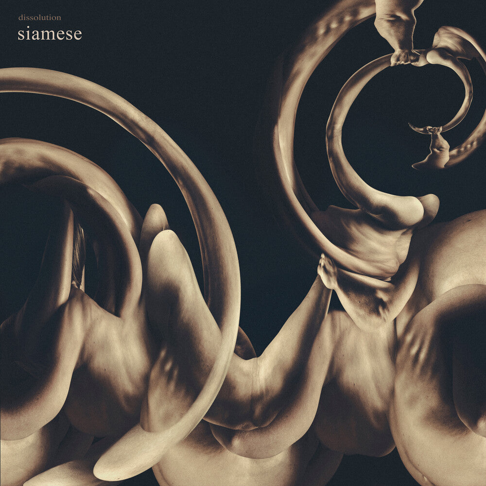 Pre-Order: Dissolution [CD]