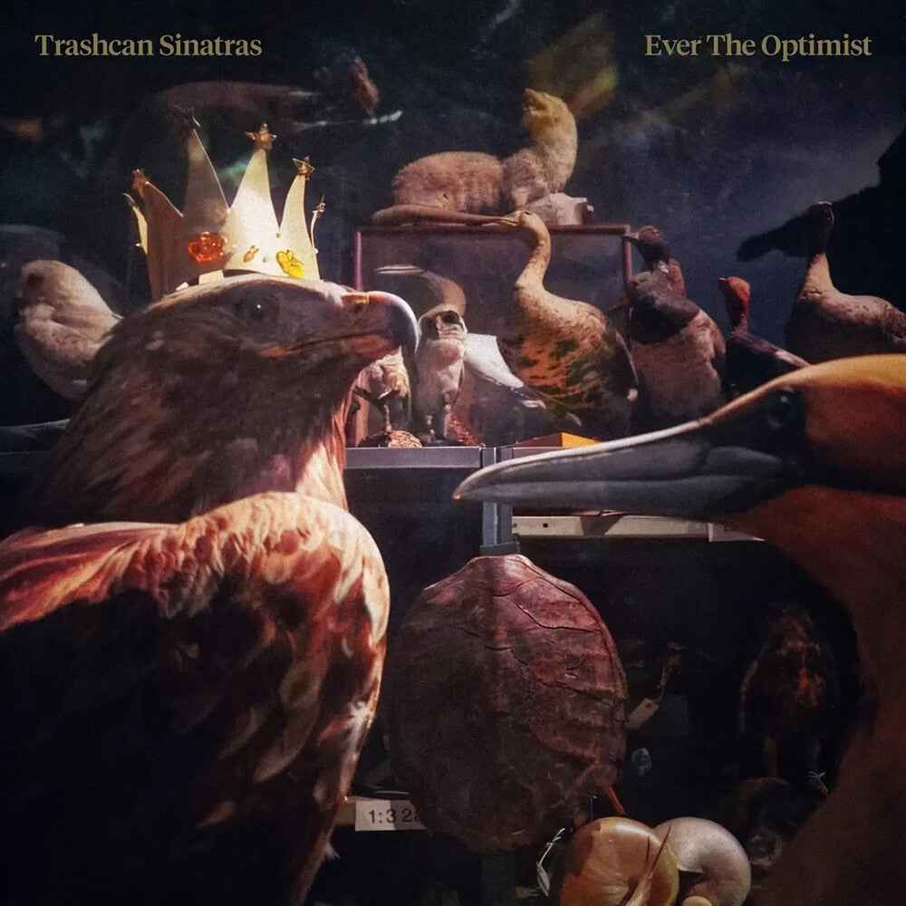 Pre-Order: Ever The Optimist (Uk) [LP]