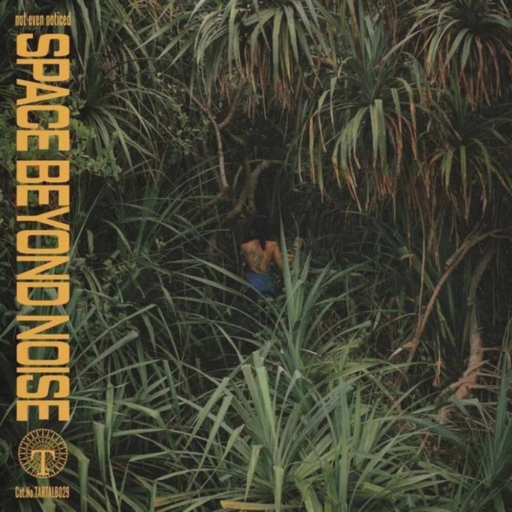 Space Beyond Noise [LP]
