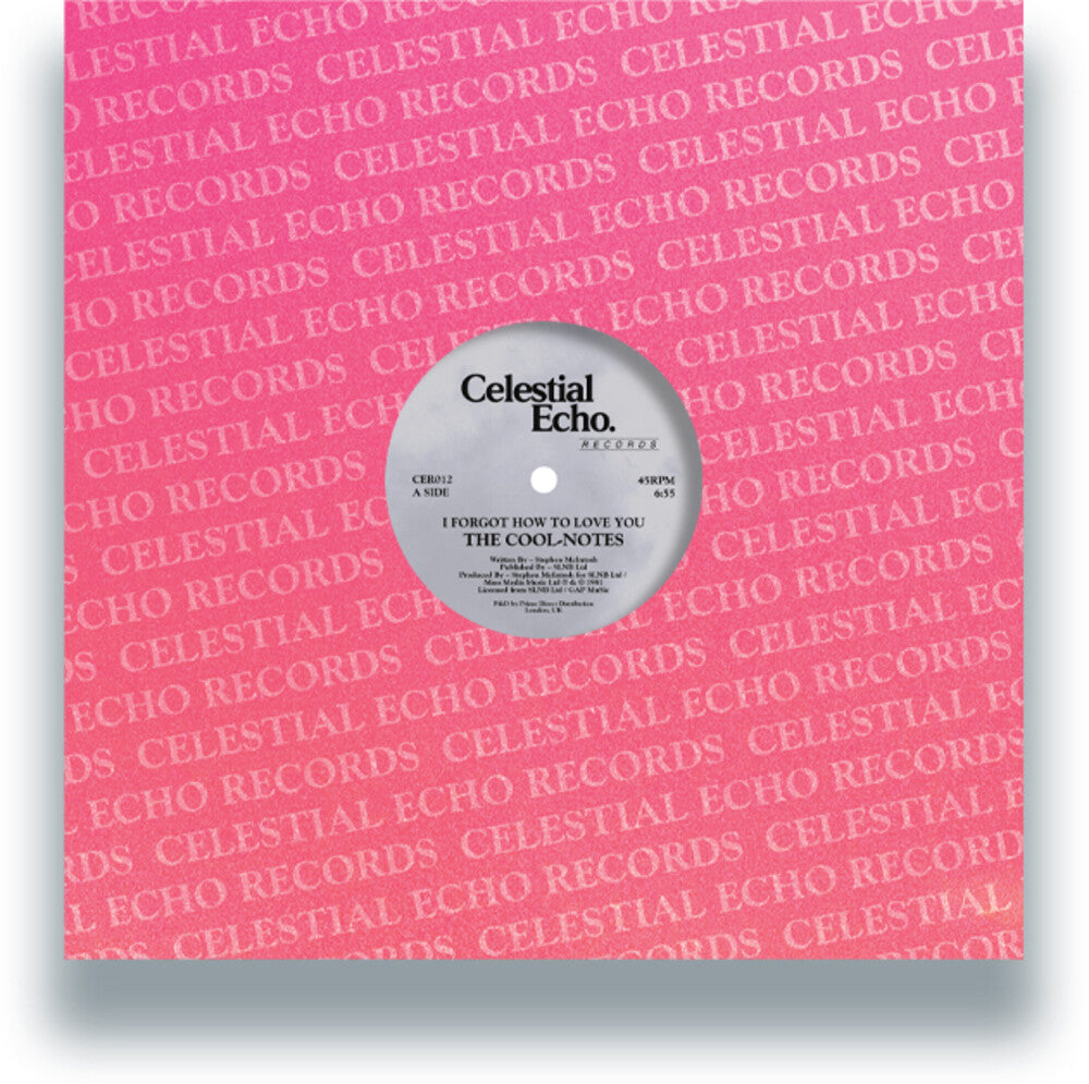 I Forgot How To Love You / Why Can't We Be Friends [12" Vinyl]