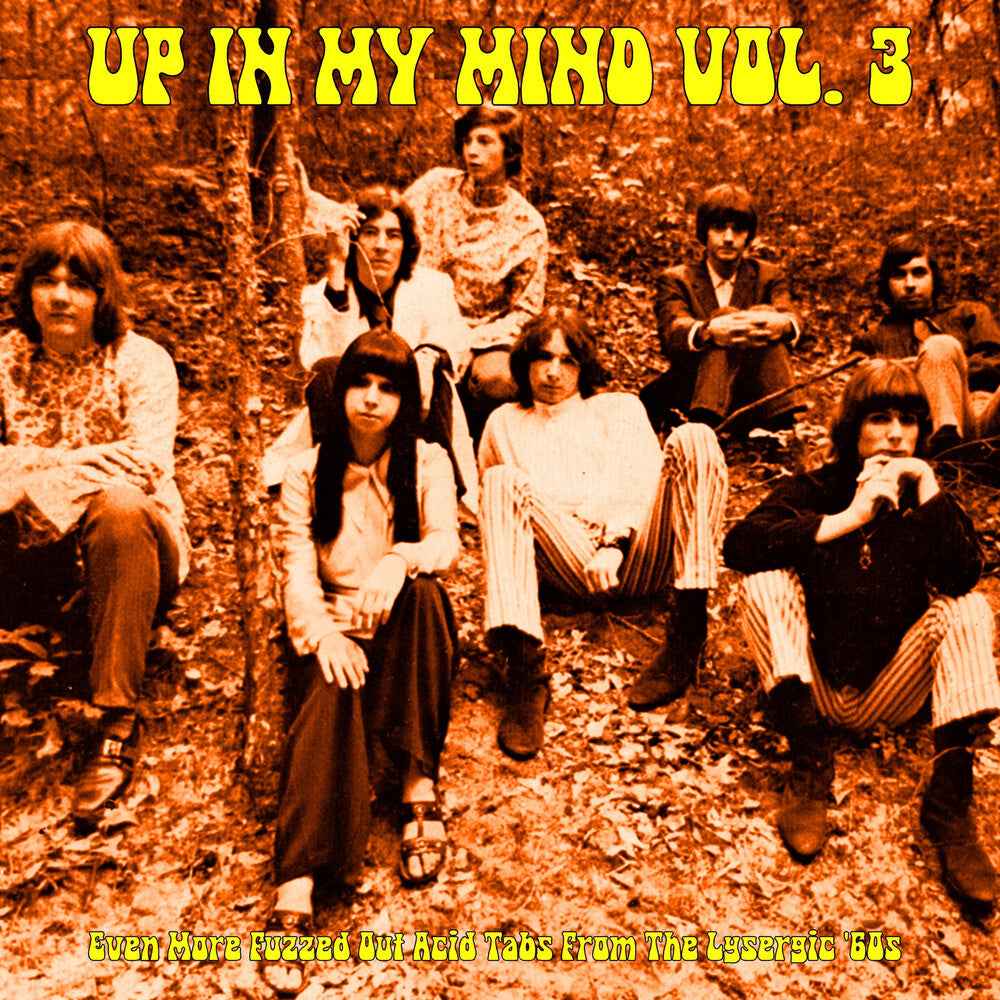 Up In My Mind Vol. 3: Even More Fuzzed Out / Var [LP]