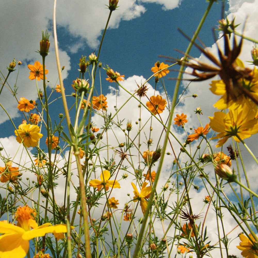Pre-Order: You Are Spring - Yellow [Colored Vinyl] (Ylw)