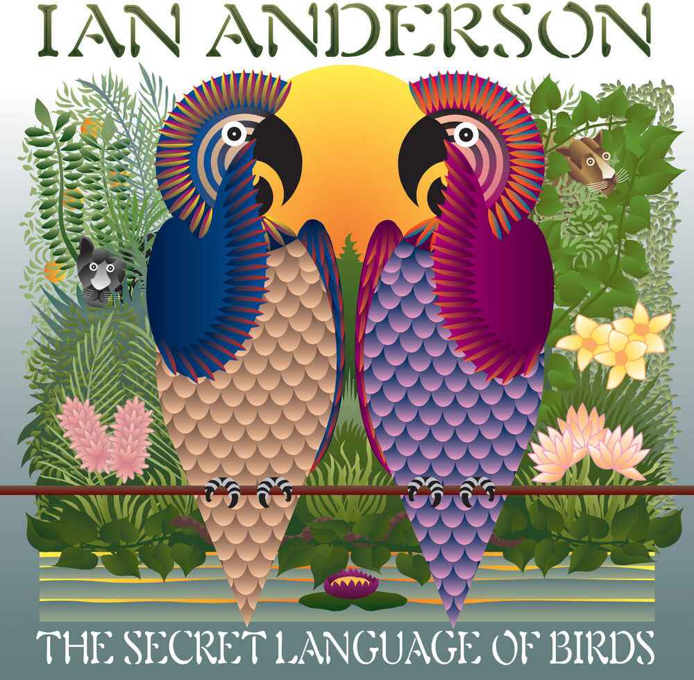 Secret Language Of Birds [LP]