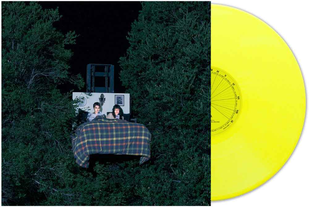 Fake Brave Life [LP]