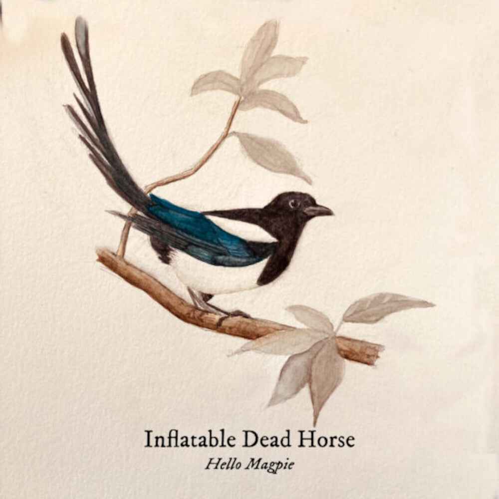 Hello Magpie [CD]
