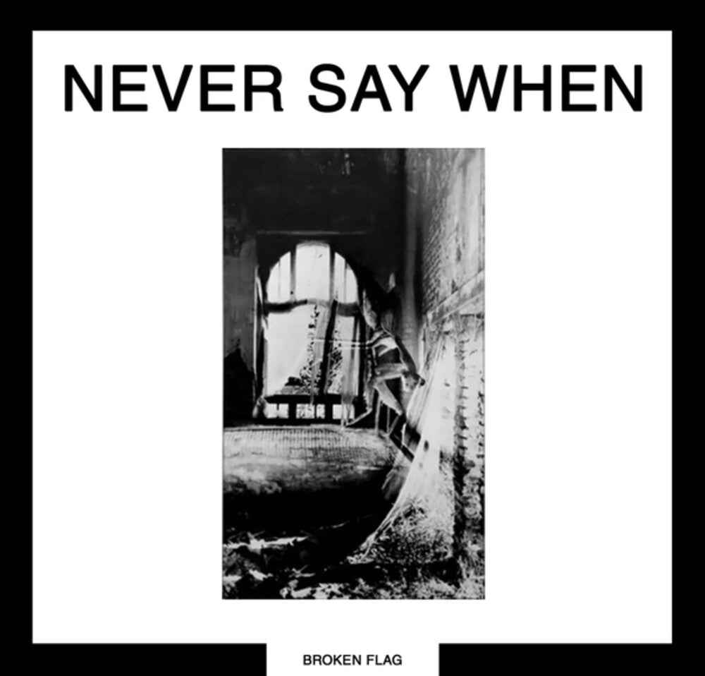 Never Say When (2lp) [LP]