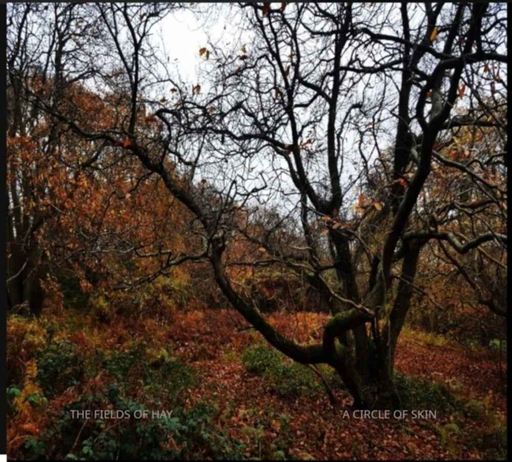 Circle of Skin [CD]