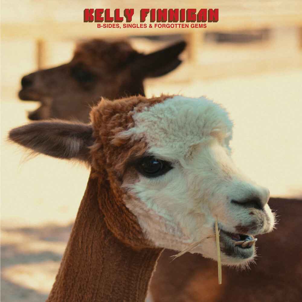B-Sides Singles & Forgotten Gems [LP]