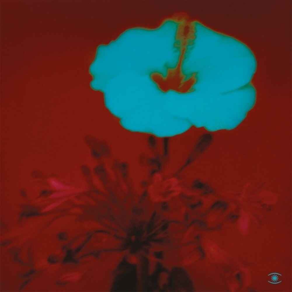 Sunrise & the Way We Live [2LP]