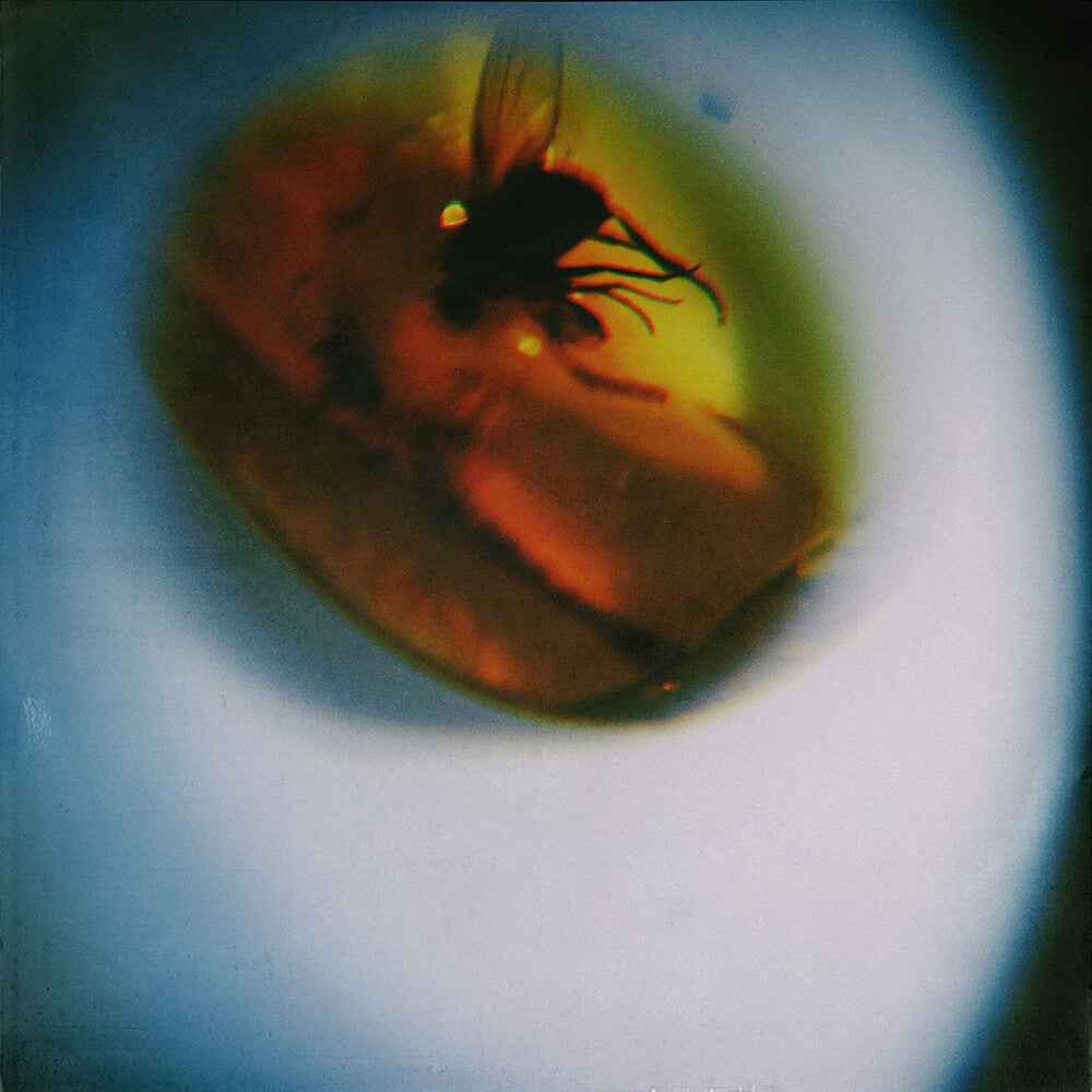 Traditional Noise [Translucent Fly Green]