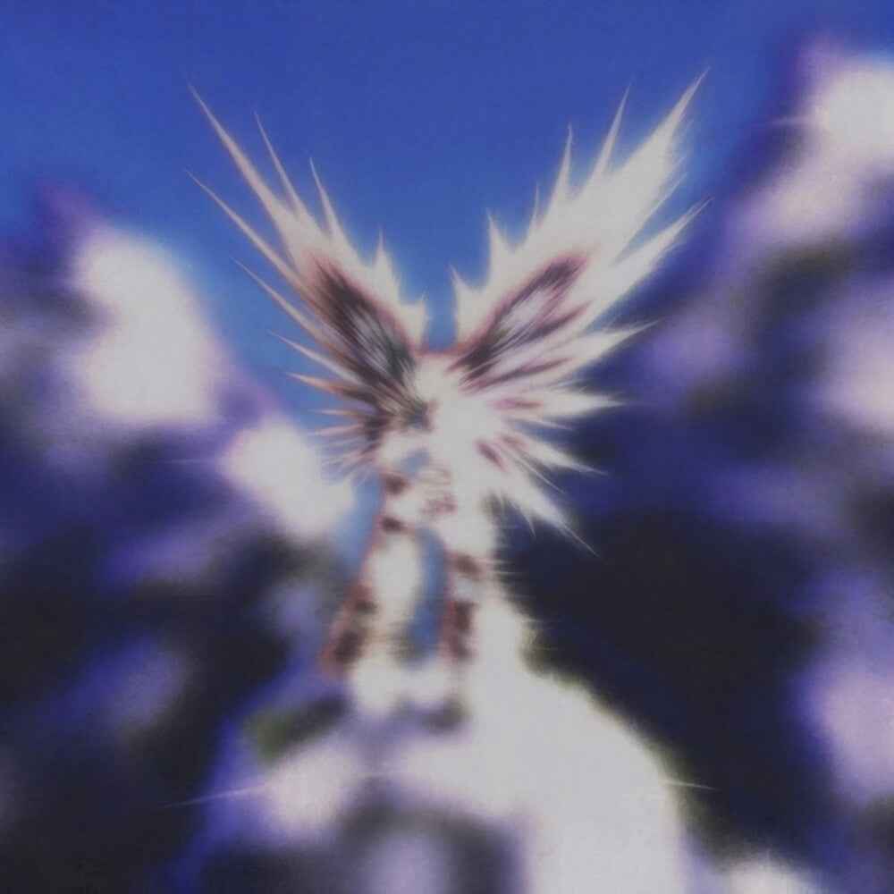 Pre-Order: Viagezero [LP]