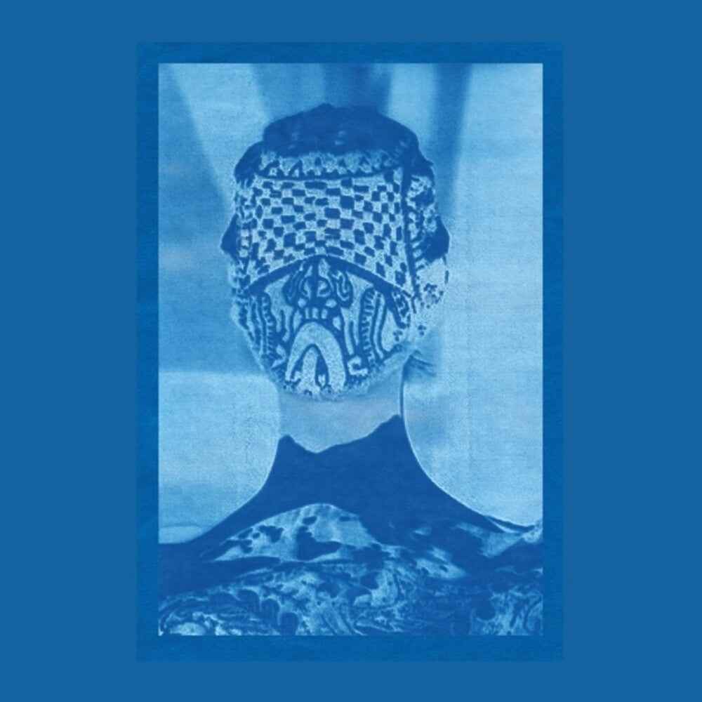 She Came Through The Window To Stand By The Door [LP]