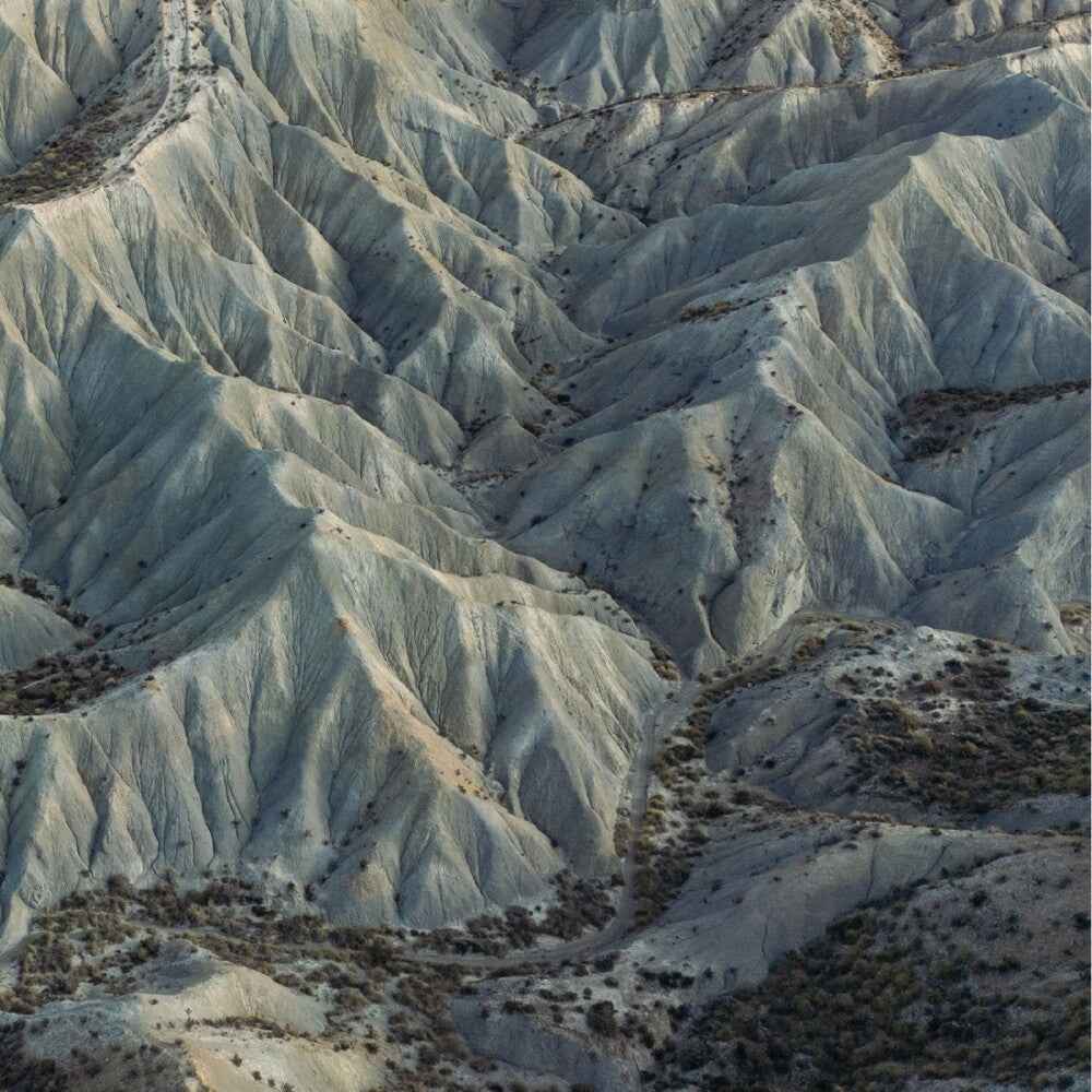 Pre-Order: Days [LP]