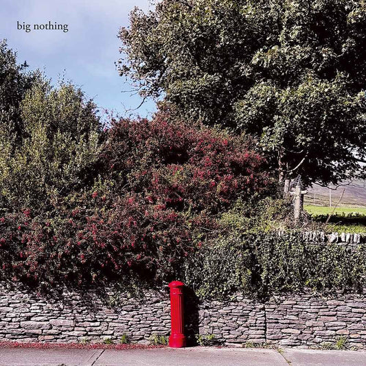 Big Nothing [LP]