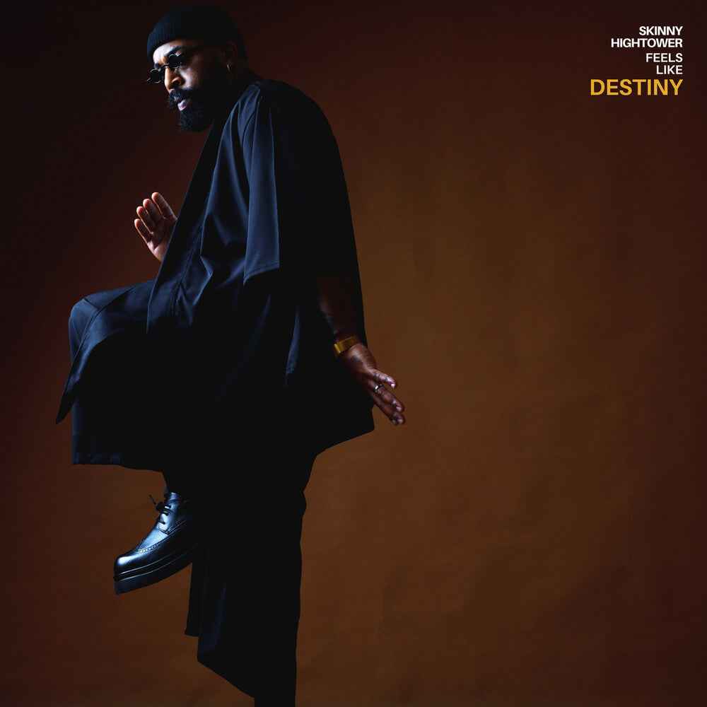 Feels Like Destiny [CD]