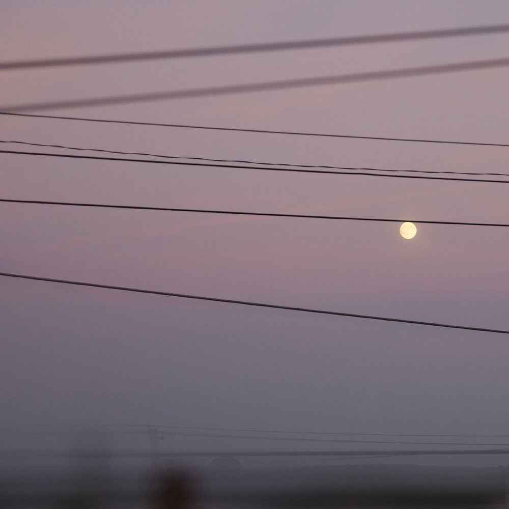 Pre-Order: Long Slow Distance [LP]