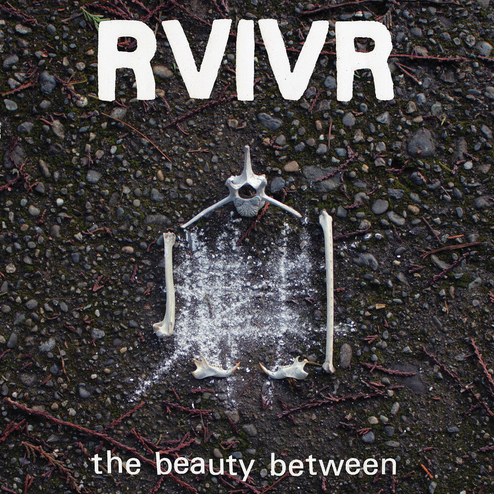 Pre-Order: The Beauty Between [Black/Clear]