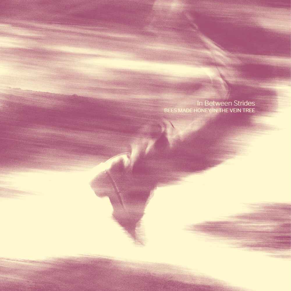 Pre-Order: In Between Strides [Digipak]