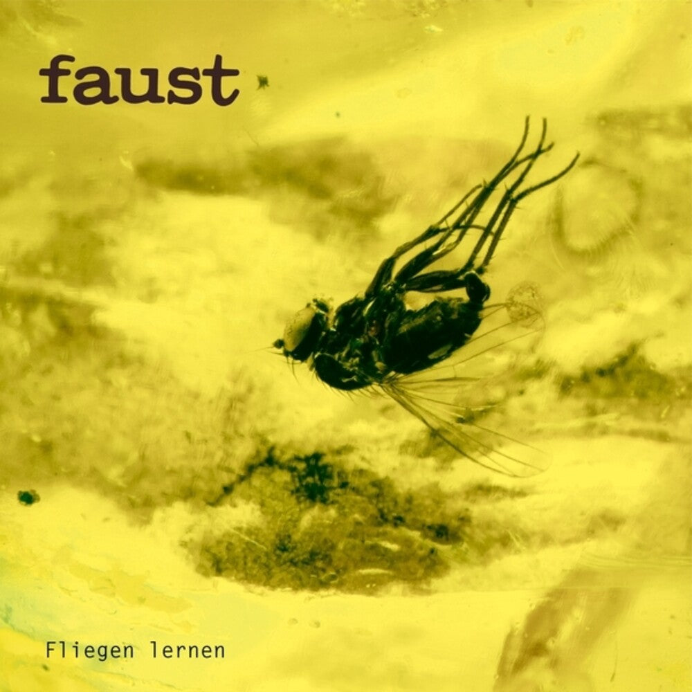 Pre-Order: Fliegen Lernen [CD]