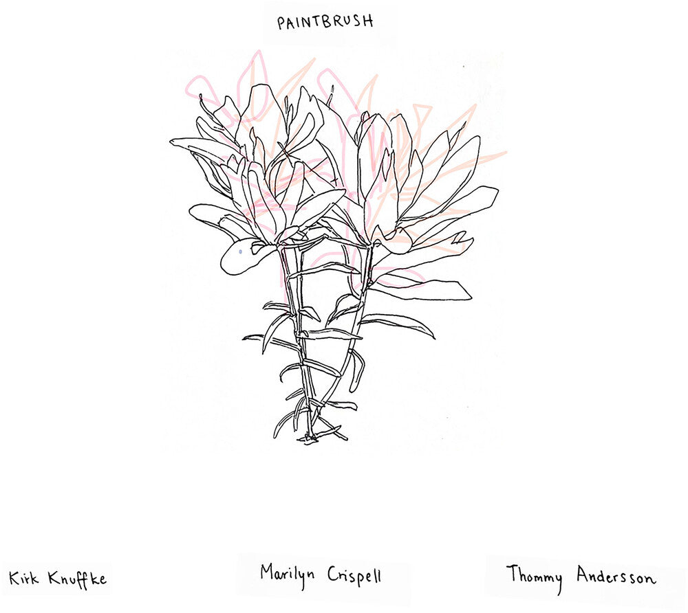Pre-Order: Paintbrush [CD]