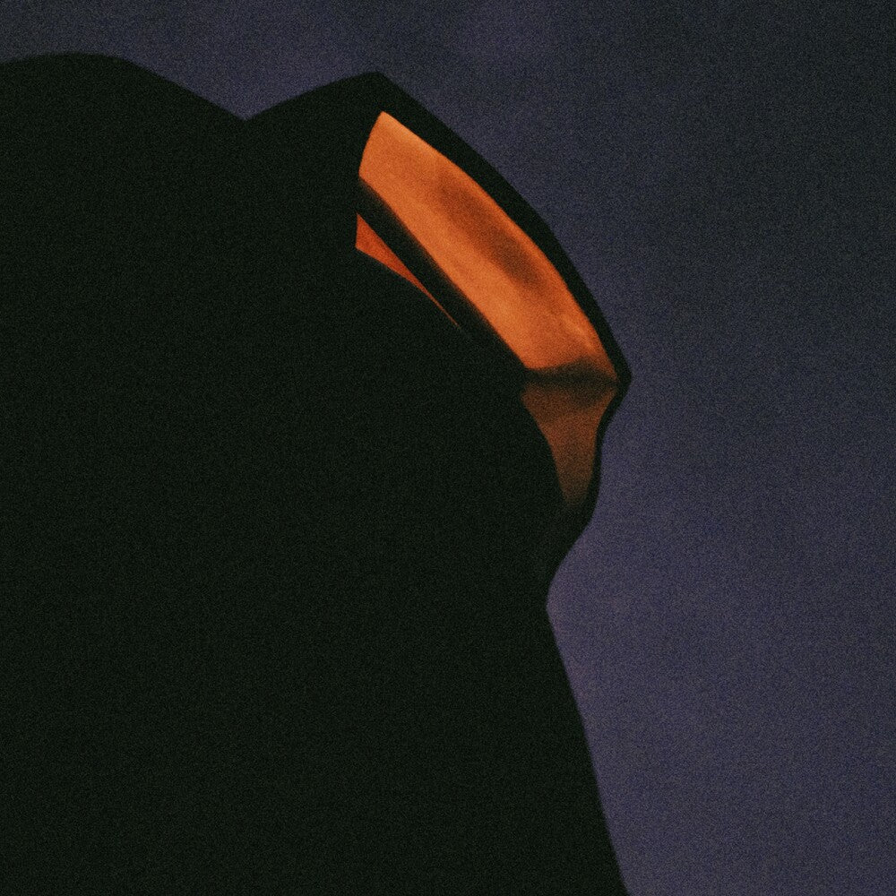 Obrigaggi [LP]