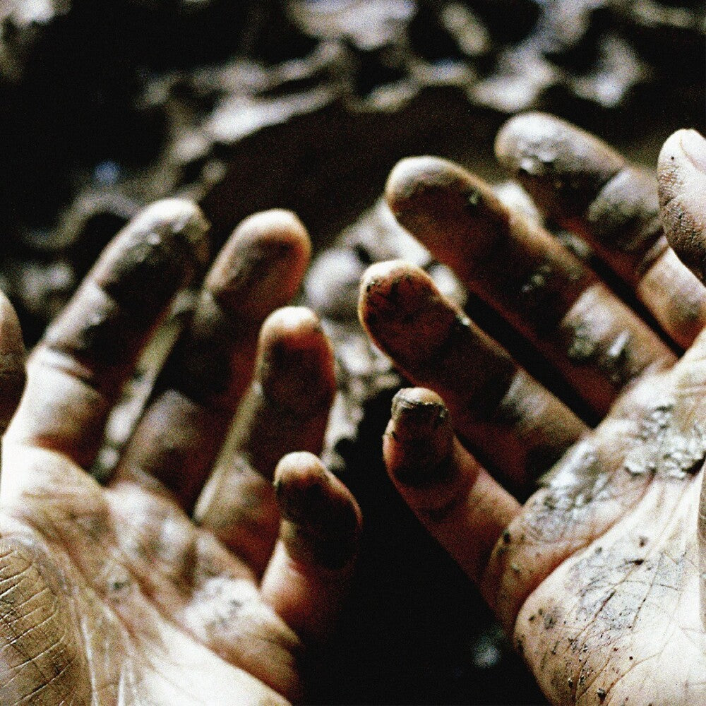 Pre-Order: What To Make Of These Mortal Hands [Download Included]