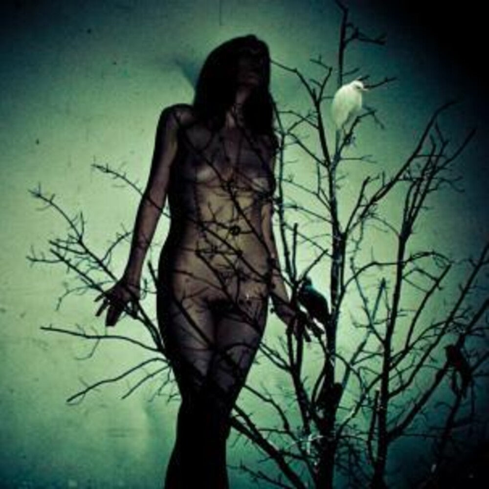 An Ache For The Distance - Bioluminescence [LP]
