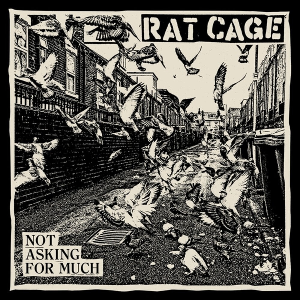 Not Asking For Much [LP]