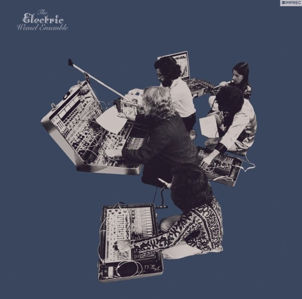 PRE-ORDER: Electric Weasel Ensemble [LP]