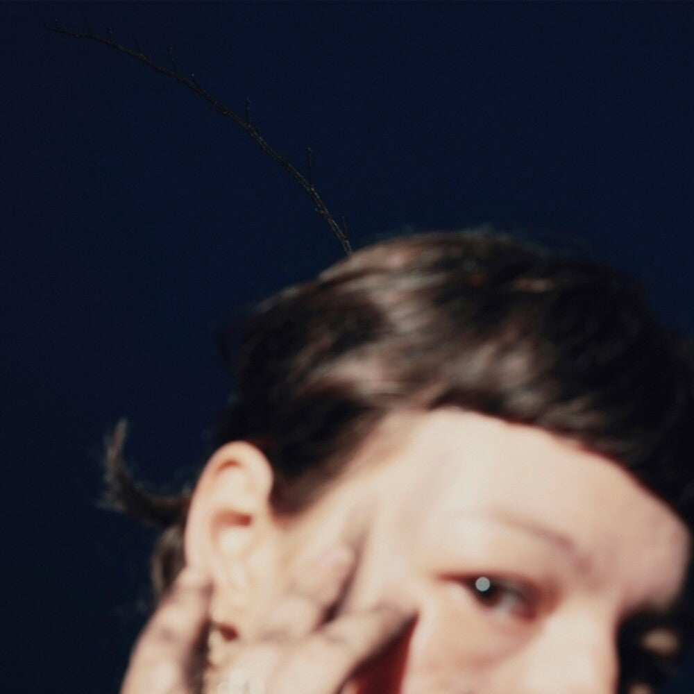 PRE-ORDER: Horizont [LP]