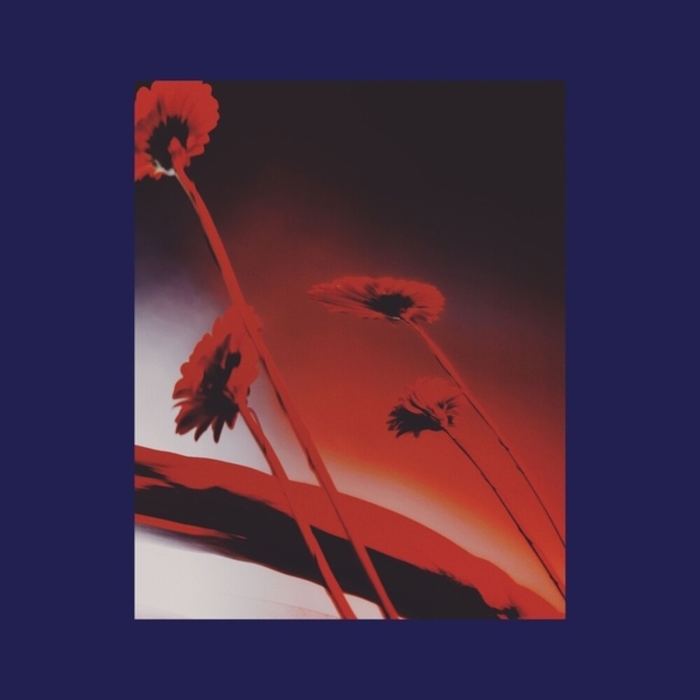 PRE-ORDER: Nothing Ever Was: Compiled By Dj Sundae / Var [LP]