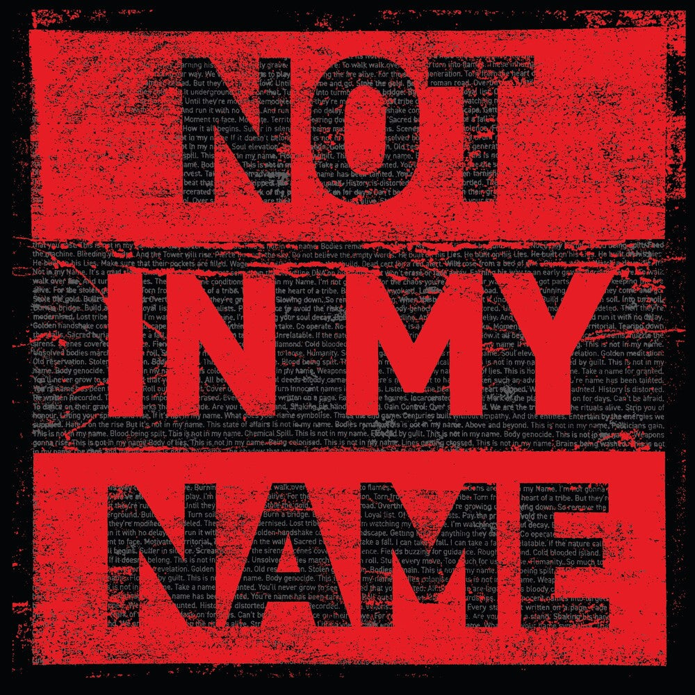 Pre-Order: Not In My Name [LP]