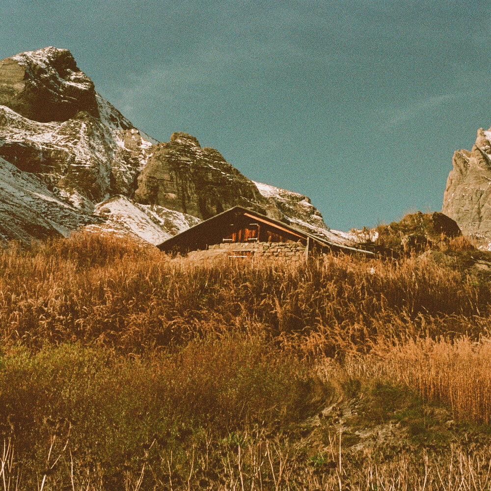 PRE-ORDER: Build & Rest By The Shepherd's Light [LP]