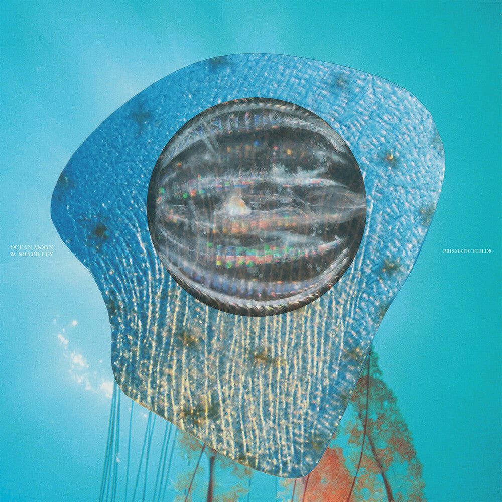 Pre-Order: Prismatic Fields [LP]