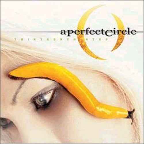 Thirteenth Step [LP]