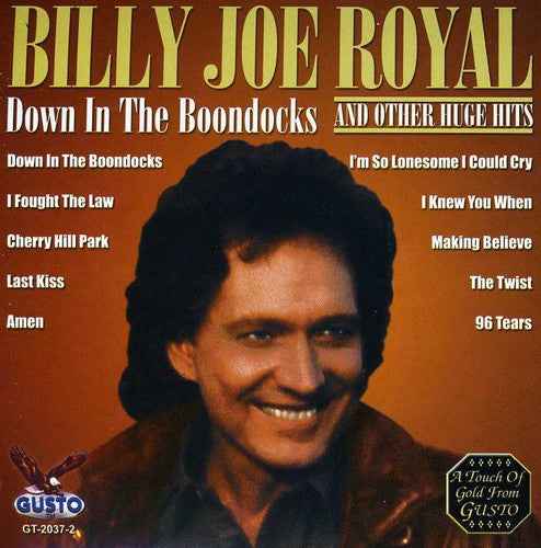 Down in the Boondocks [CD]