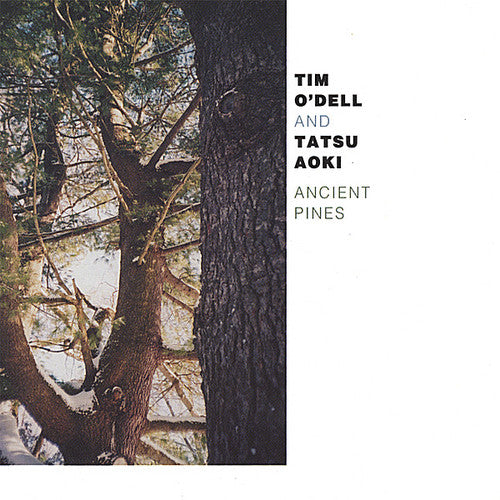 Odell/Aoki - Ancient Pines Music CD