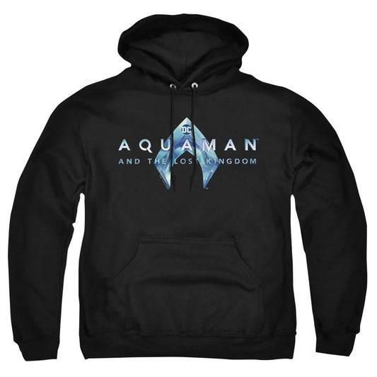 Aquaman And The Lost Kingdom Logo Mens Hoodie Black Officially Licensed