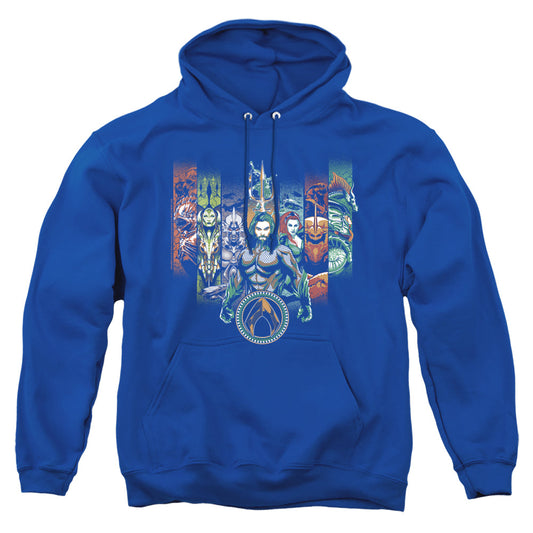 Aquaman Movie Unite The Kingdoms Mens Hoodie Black Officially Licensed