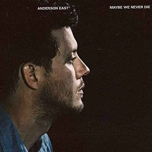 Maybe We Never Die [Vinyl]